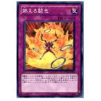 Yahoo! Yahoo!ショッピング(ヤフー ショッピング)『中古即納』{プレイ用}{TCG} 遊戯王 DP12-JP026N 燃える闘志