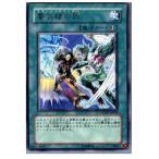 ¡ØÃæ¸Å¨Ǽ¡Ù{¥×¥ì¥¤ÍÑ}{TCG} Í·µº²¦ PTDN-JP049R é絤ϰ¤ÎÅû