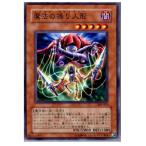 ¡ØÃæ¸Å¨Ǽ¡Ù{¥×¥ì¥¤ÍÑ}{TCG} Í·µº²¦ 303-015N ËâË¡¤ÎÁà¤ê¿Í·Á