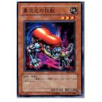 Yahoo! Yahoo!ショッピング(ヤフー ショッピング)『中古即納』{プレイ用}{TCG} 遊戯王 EE1-JP074N 異次元の狂獣