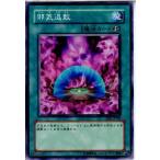 ¡ØÃæ¸Å¨Ǽ¡Ù{¥×¥ì¥¤ÍÑ}{TCG} Í·µº²¦ EE3-JP108N ¼Ùµ¤Âà»¶