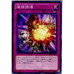 ¡ØÃæ¸Å¨Ǽ¡Ù{¥×¥ì¥¤ÍÑ}{TCG} Í·µº²¦ SHSP-JP077N Ï¢º¿Í¶Çú(20130718)