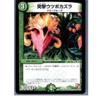 『中古即納』{TCG}デュエマ DMR08 53/55C 突撃ウツボカズラ(20130801)