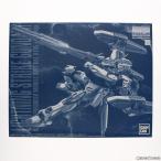 『中古即納』{PTM} プレミアムバンダイ限定 MG 1/100 ライトニングストライクガンダム Ver. RM 機動戦士ガンダムSEED MSV プラモデル バンダイスピリッツ