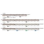 『予約前日出荷』{TCG} (BOX) 遊戯王OCG REVOLUTION BOOSTER -トゥーン・ウィッチクラフト・破械- コナミデジタルエンタテインメント(15パック)(20260530)