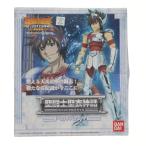 『中古即納』{FIG} 聖闘士聖衣神話 ペガサステンマ 聖闘士星矢 THE LOST CANVAS 冥王神話 完成品 可動フィギュア バンダイ(20090831)