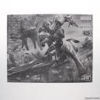 MG 1/100 ASW-G-08 ガンダムバルバトス アイアンブラットコーティング