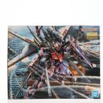 MG 1/100 ストライクルージュ オオトリ装備 Ver.RM