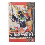 少年剣士嵐丸
