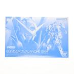 『中古即納』{PTM} プレバン限定 RG 1/144 GN-001/hs-A01D ガンダムアヴァランチエクシアダッシュ 機動戦士ガンダム00V戦記 プラモデル) BSP(20250620)