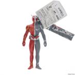 ショッピング仮面ライダーダブル 『中古即納』{SFT} ライダーヒーローシリーズW 02 仮面ライダーW(ダブル) ヒートメタル 完成品 ソフビフィギュア バンダイ(20090919)