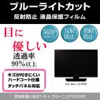 日立 Wooo L22-HP09 ブルーライトカット