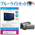 デジタルビデオカメラ SONY DCR-SR60 (2.