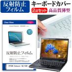 EPSON Endeavor NL2100E [15.6インチ] 反射防