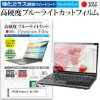 EPSON Endeavor NL2100E [15.6インチ] 強化ガ