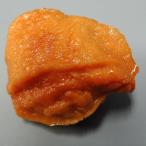  Япония работник . произведение . образец блюда магнит карааге IP-328 наложенный платеж не возможно / включение в покупку не возможно 