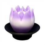  Tokai производства . low sok lili.( контейнер есть лиловый ) 146-01VI наложенный платеж не возможно / включение в покупку не возможно 