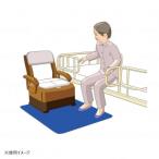 sinei Techno zeo -местный голубой S SZ S 462007 наложенный платеж не возможно / включение в покупку не возможно 