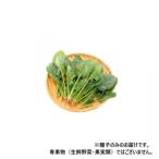  Kobayashi вид рассада howe объединенный семена небо внизу ткань .7237 маленький пакет (40ml) наложенный платеж не возможно / включение в покупку не возможно 