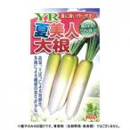  Kobayashi вид рассада дайкон семена YR лето прекрасный человек 11 маленький пакет (4ml) наложенный платеж не возможно / включение в покупку не возможно 