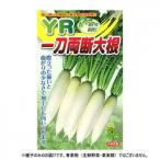  Kobayashi вид рассада дайкон семена YR один меч обе .17 маленький пакет (100 шарик ) наложенный платеж не возможно / включение в покупку не возможно 