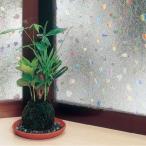 GLC-4607 окно украшение сиденье ( линзы модель ) 46cm длина ×90cm шт прозрачный наложенный платеж не возможно / включение в покупку не возможно 