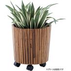  дерево посадочная машина S Brown ( примерно φ34×H35cm) сборка тип 