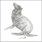 どうでもいい芸術 レ�