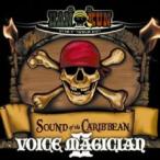 ts::VOICE MAGICIAN II SOUND of the CARIBBEAN 通常盤 レンタル落ち 中古 CD ケース無::