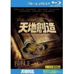 [ есть перевод ] небо земля . структура Blue-ray диск * диск только прокат б/у Blue-ray кейс нет ::