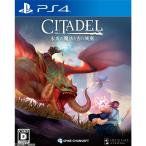 『中古即納』{PS4} シタデル:炎の魔法と古の城塞 スパイク・チュンソフト