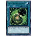 Yahoo! Yahoo!ショッピング(ヤフー ショッピング)『中古即納』{プレイ用}{TCG} 遊戯王 DREV-JP052R ランドオルスのヒカリゴケ