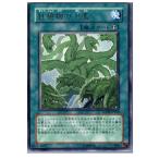 Yahoo! Yahoo!ショッピング(ヤフー ショッピング)『中古即納』{プレイ用}{TCG} 遊戯王 SOVR-JP060R 狂植物の氾濫