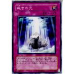 『中古即納』{プレイ用}{TCG} 遊戯王 308-048N 裁きの光