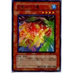 Yahoo! Yahoo!ショッピング(ヤフー ショッピング)『中古即納』{TCG} 遊戯王 307-011N 幻影のゴラ亀