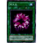 Yahoo! Yahoo!ショッピング(ヤフー ショッピング)『中古即納』{プレイ用}{TCG} 遊戯王 LB-41N 紫水晶
