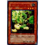 『中古即納』{TCG} 遊戯王 BE2-JP172N リーフ・フェアリー