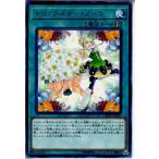 Yahoo! Yahoo!ショッピング(ヤフー ショッピング)『中古即納』{TCG} 遊戯王 FLOD-JP055R トリックスター・ブーケ（20180113）