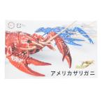 『中古即納』{PTM} 自由研究シリーズNo.24 EX-5 いきもの編 アメリカザリガニ(ゴールド) プラモデル(171081) フジミ模型(FUJIMI)(20210626)