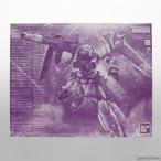 『中古即納』{PTM} プレバン限定 MG 1/100 ZGMF-1001/M ブレイズザクファントム(レイ・ザ・バレル専用機) DESTINY プラモデル バンダイスピリッツ(20210618)