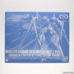 『中古即納』{PTM} HG 1/144