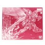 MG 1/100 ZGMF-X12A/RGX-00 テスタメントガンダム