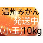 (送料無料)(温州みかん10kg)佐賀の美味しい温州みかん極早生(訳ありご家庭用傷ありミカン)(送料無料は東北、沖縄、北海道を除きます)