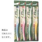 Yahoo! Yahoo!ショッピング(ヤフー ショッピング)クリエイト デントファイン ピュアスタイル山切カット歯ブラシ　かためタイプ　12本入※お取り寄せ商品