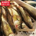 ショッピングお中元 ★着日指定不可★ハタハタ はたはた 鰰 北のハタハタ 1ｋｇ前後 冬季限定