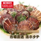 ショッピングホタテ ほたて 刺身用 送料無料 市場直送活ホタテ 3ｋｇ １５枚前後 帆立