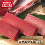  большой промежуток тунец большой промежуток ... большой промежуток . Honshu самый север иллюзия. большой промежуток производство натуральный голубой тунец ( три цвет ) бесплатная доставка зима ограничение ограниченное количество 