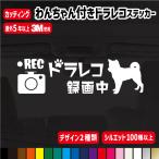 わんちゃん付ドライブレコーダー  13cm 犬種129種類 カッティングステッカー  ドラレコ 搭載車 車載カメラ  防犯