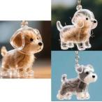 [2 шт. комплект ] домашнее животное . шерсть кейс прозрачный домашнее животное . шерсть inserting собака. шерсть место хранения бутылка домашнее животное memorial бутылка собака. брелок для ключа шерсть . хранение делать бутылка симпатичный выпадение шерсть место хранения 