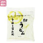うどん レトルト コシ サンサス きねうち 細うどん 200g 送料無料